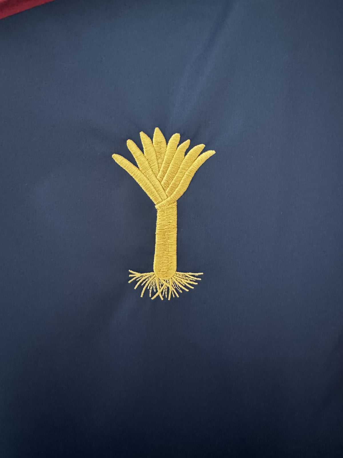 Welsh Guards 52" Clothes Cover with Leek Insignia